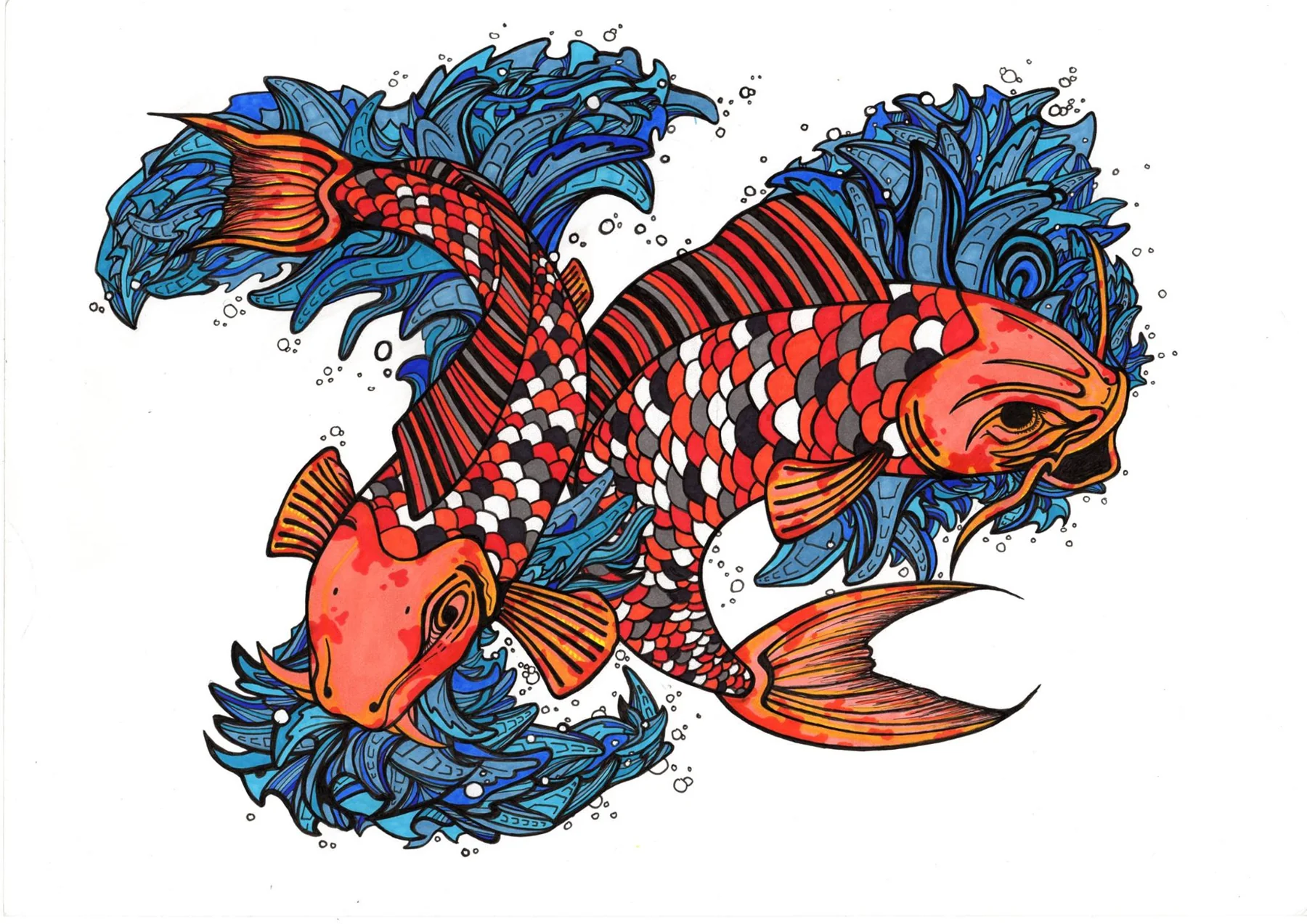 Koi in Colour